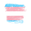 Transgender flag