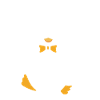 Swing dance penguin