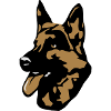 Dog Dobermann