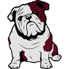 Dog English bulldog sunglasses