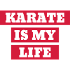 Karate / Karateka / Martial Arts / Fight