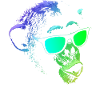 Cool Monkey