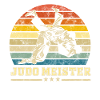 Judo master