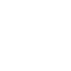 Heron bird in flight