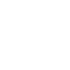 faith - white