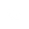 chat cadeau chaton