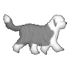 Bobtail 2