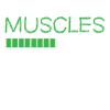 Installing Muscles Fitness