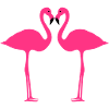 Flamingo, flamingos (super cheap!)