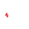 Boxe - boxeur combattant