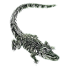 alligator