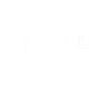 Physiotherapist