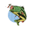 Fly fishing perch fish