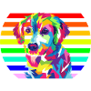 Rainbow dog