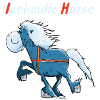 Icelandic horse on tour