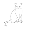 White cat