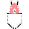 Lama dans le sac