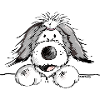 Happy Bearded Collie