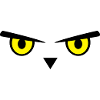 Owl, eyes, bird
