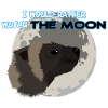 Wolverine and moon