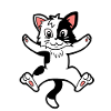 Kitten cat cats