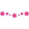 Flowers, flower