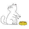 Hungry cat