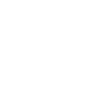 Diver