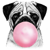 Bubble gum chig