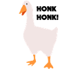 HonkHonk