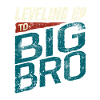 Big Brother