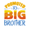 Promoted to big brother