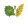 Hops malt