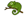 Chamäleon