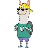 Alpaca Cool
