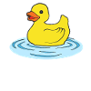 Rubber duck