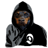 Doberman chien de race, Doberman