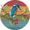 Martin-pêcheur