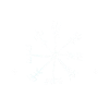 The Vegvisir