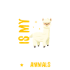Alpaca Lama