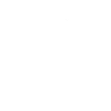 Alpaca Lama