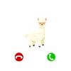 Alpaca Lama