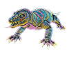 Monitor lizard