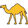 kamel_02