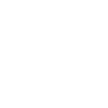 Cyber Security Expert