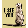 Suricate Tshirt et accessoires