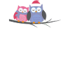 Two owl owls cuddling