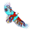 Aigle