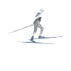 Cross-country skiers skating