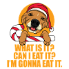 Weihnachtshund Weihnachten Hunde Geschenk